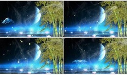 月光爆料最新视频下载免费,揭秘幕后精彩瞬间