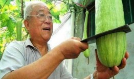 农村免费吃瓜大爷