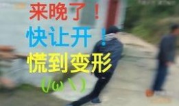 炮灰吃瓜日常免费阅读,吃瓜日常免费阅读之旅