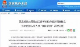 最新爆料偷税,最新爆料直击税收违规行为