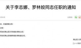 哈弗大学主任爆料新闻,揭开学术界的惊人秘密