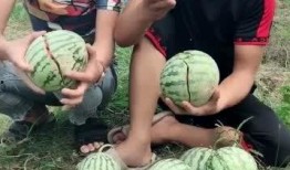 农村姑娘吃网红瓜,揭秘乡村女孩的时尚生活