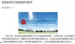 重大新闻事件爆料有哪些,独家爆料背后的真相与影响