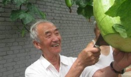 农村免费吃瓜大爷