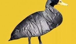 娱乐吃瓜君遛鸟大师,遛鸟大师的传奇人生