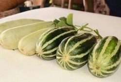 各类网红爆料吃瓜,娱乐圈吃瓜大揭秘，明星幕后故事全曝光！