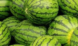 内蒙网红吃瓜事件