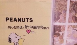 封面视频爆料文案怎么写,独家爆料背后的故事与真相