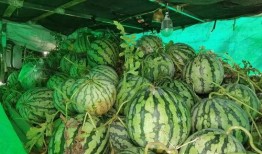 超强吃瓜合集免费观看下载,免费观看与下载，一网打尽热门资讯！