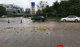 梅华车祸最新爆料新闻,事故原因揭秘，伤亡情况公布