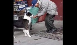 黄狗水池爆料怎么办视频,揭秘事件背后真相
