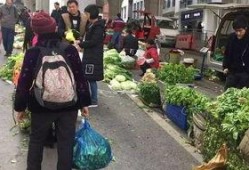 半山小镇爆料最新消息视频,揭秘神秘视频背后的惊人真相