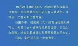 河北保定新闻爆料网最新,聚焦城市动态与民生热点