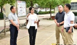 爆料拍摄趣事视频教程大全,趣事教程大全解析