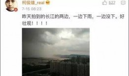 呆雨爆料视频在线观看,揭秘幕后真相，带你走进事件核心
