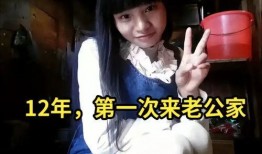 曾哥爆料小英子视频大全,小英子视频大全背后的故事