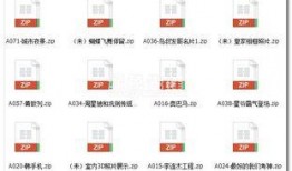 爆料搞笑模板大全视频播放,揭秘爆料搞笑模板大全，笑料百出，欢乐无限！