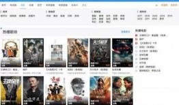 美国华人圈爆料视频,揭秘背后惊人真相