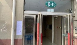 爆料卖惨夫妇视频播放大全,揭秘网络爆红背后的心酸故事