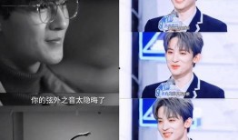 爆料直播娱乐圈的小说