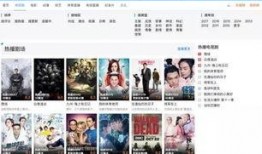 美国华人圈爆料视频,揭秘背后惊人真相