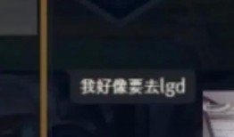 职业选手爆料直播间视频,精彩瞬间与幕后故事