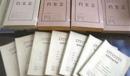 法律卷宗在线观看,揭秘司法程序与法律奥秘
