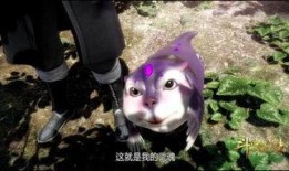 娱乐吃瓜君遛鸟大师,遛鸟大师的传奇人生