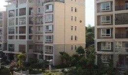 南水国际最新爆料,最新爆料背后的惊人真相