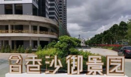 深圳爆料真实案例最新消息,真实案例揭示城市生活暗流涌动