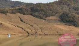 松花湖爆料铁头的视频,铁头视频揭秘惊人内幕