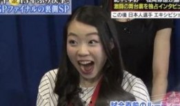 曾哥爆料小英子视频大全,小英子视频大全背后的故事