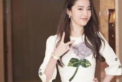 圈内爆料刘亦菲杨紫事件,娱乐圈风云再起，真相扑朔迷离