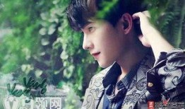 杨洋圈内爆料天涯视频,揭秘天涯视频背后的惊人真相