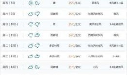 大连东港爆料最新消息,揭秘东港新动态与重大事件