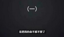 爆料李玟录音视频大全,揭秘娱乐圈背后的真相与争议