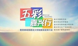 嘉兴新闻有偿爆料,有偿爆料背后的真相揭露