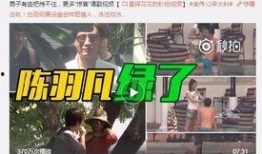韩美林最新爆料视频播放,背后惊人真相曝光