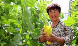 农村姑娘吃网红瓜,揭秘乡村女孩的时尚生活