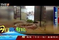 今日一线线上爆料,揭秘娱乐圈幕后真相