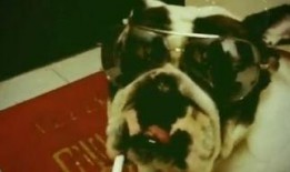 赖小子在线观看完整版,青春逆袭之路