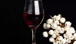 红酒女人爆料视频大全集,揭秘爆料视频背后的故事与真相