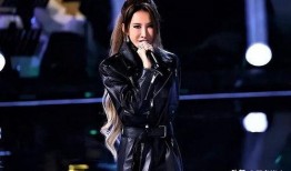 爆料李玟录音视频大全,揭秘娱乐圈背后的真相与争议