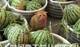 各类网红爆料吃瓜,娱乐圈吃瓜大揭秘，明星幕后故事全曝光！