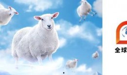 羊了个羊最新爆料,揭秘游戏背后的秘密与未来走向