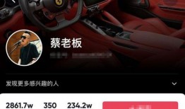 爆料自己特斯拉的视频,揭秘神秘视频中的自动驾驶奇遇