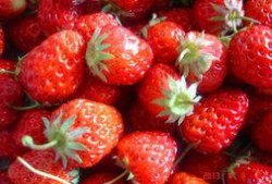 草莓吃瓜全文免费阅读,一场甜蜜的瓜田奇遇