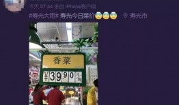 今日菜价爆料新闻直播,菜价波动背后的真相