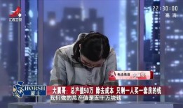 金牌调解三哥爆料视频,视频爆料背后的惊人真相