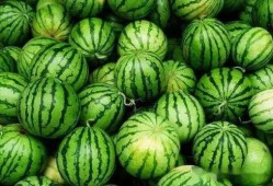 超强吃瓜合集免费观看下载,免费观看与下载，一网打尽热门资讯！